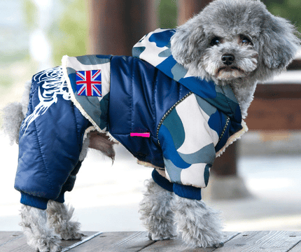 Dog's  Casual Warm Jacket - wnkrs
