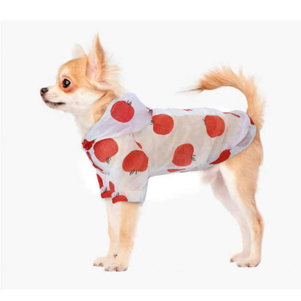 Transparent Patterned Small Dog Raincoat - wnkrs