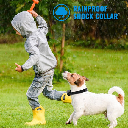 Petrainer Remote Electric Rainproof Dog Training Collar With LCD Display - wnkrs