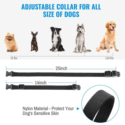 Petrainer Remote Electric Rainproof Dog Training Collar With LCD Display - wnkrs