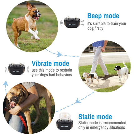 Petrainer Remote Electric Rainproof Dog Training Collar With LCD Display - wnkrs