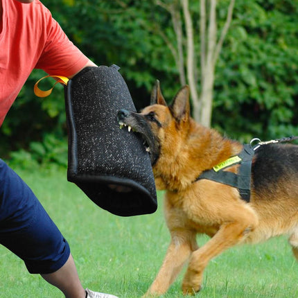 Dog's Training Bite Sleeve - wnkrs