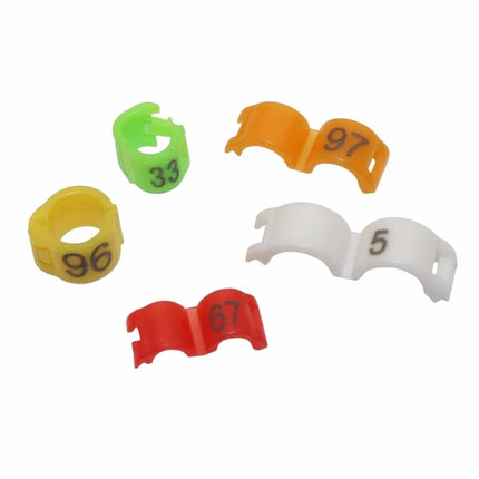 Colorful Clip Rings For Birds - wnkrs