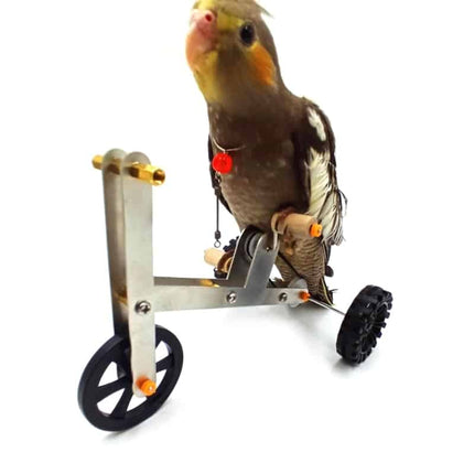 Bird's Bike Toy - wnkrs