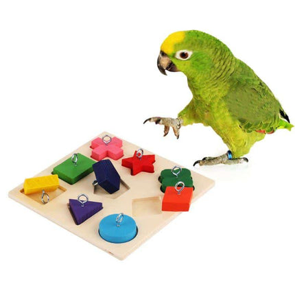 Bird's Educational Block Toy - wnkrs