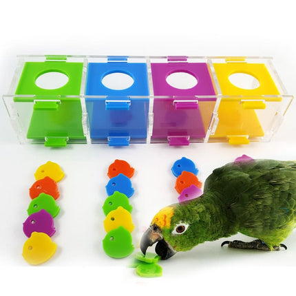 Intellectual Training Toy for Parrots - wnkrs