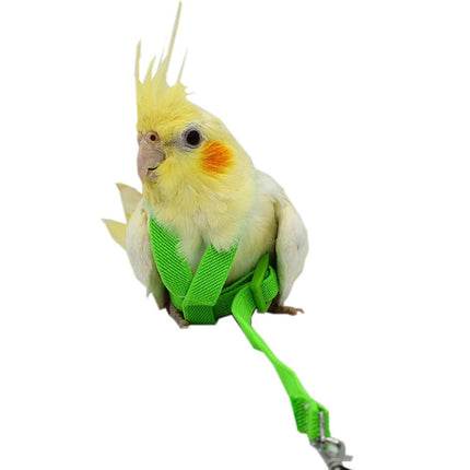 Bird's Ultralight Harness - wnkrs