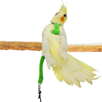 Bird's Ultralight Harness - wnkrs