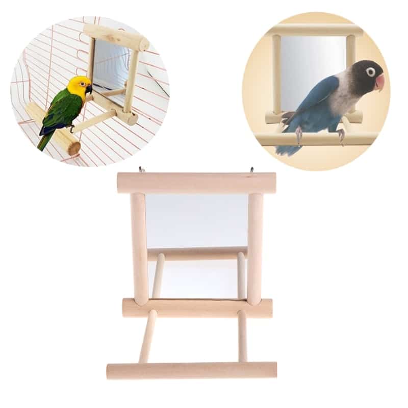 Bird's Mirror Toy with Perch
