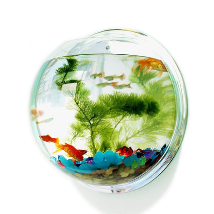 Hanging Globular Acrylic Aquarium - wnkrs