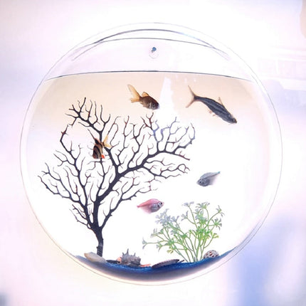 Hanging Globular Acrylic Aquarium - wnkrs