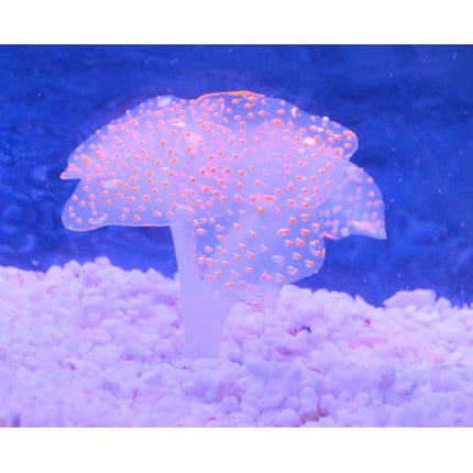 Artificial Coral Plant with Sucker - wnkrs