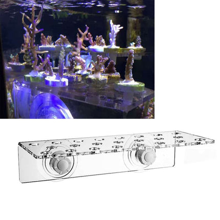 Magnet Fix Aquarium Stand - wnkrs