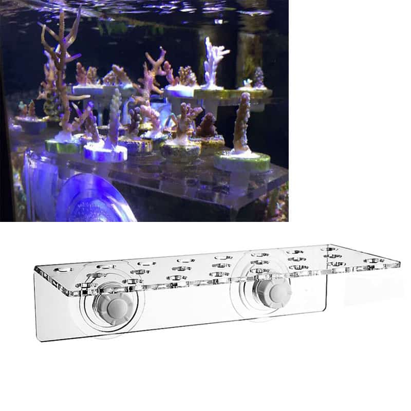 Clear Aquarium Coral Frag Rack and Plug Options