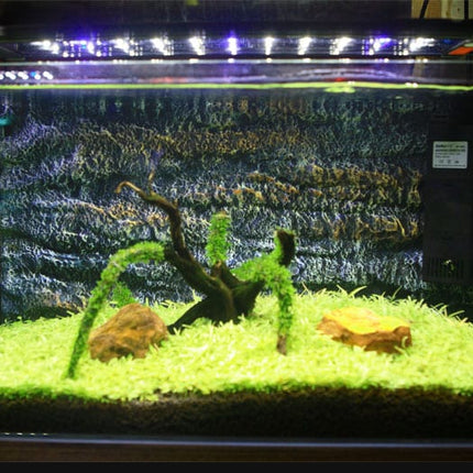 Aquarium LED Lighting Fixture - wnkrs