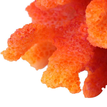 Artificial Coral Aquarium Decor - wnkrs