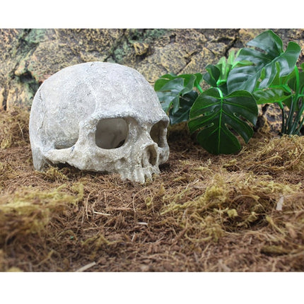Skull Figurine Aquarium Decor - wnkrs