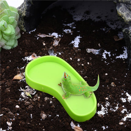 Plastic Bowl For Feeding Reptiles - wnkrs