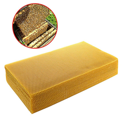 Yellow Wax Beehive Honeycomb Sheet 10 pcs Set - wnkrs