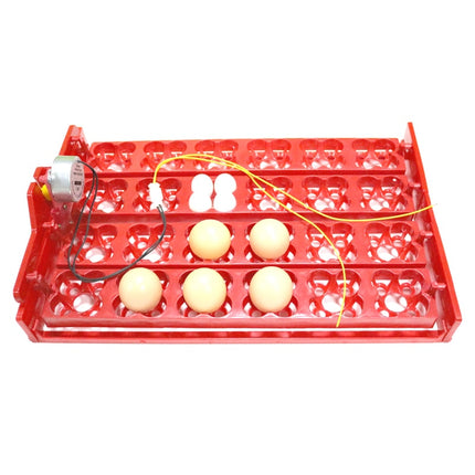 24-Eggs Automatic Incubator Tray - wnkrs