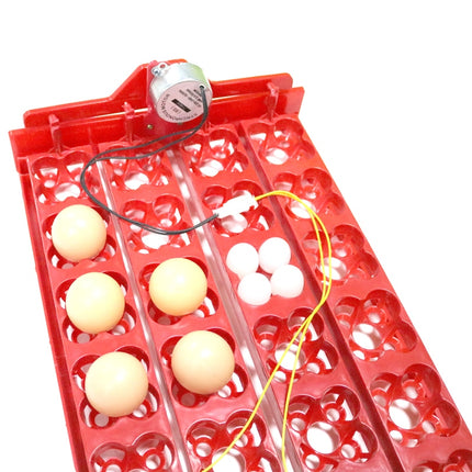 24-Eggs Automatic Incubator Tray - wnkrs
