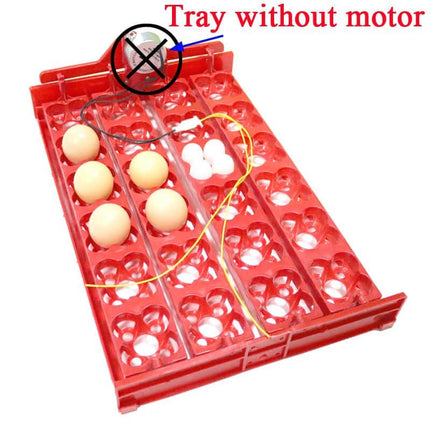 24-Eggs Automatic Incubator Tray - wnkrs