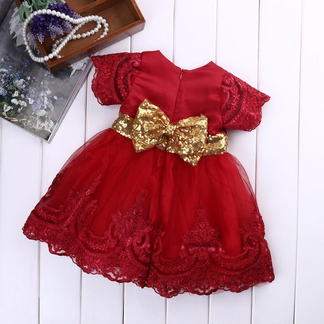 Baby Girl's Lace Tutu Princess Dress - Wnkrs