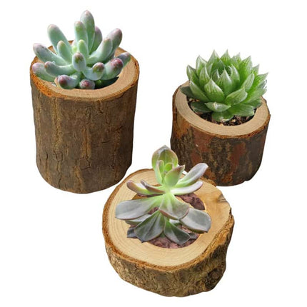 Wooden Candle Holder - Wnkrs