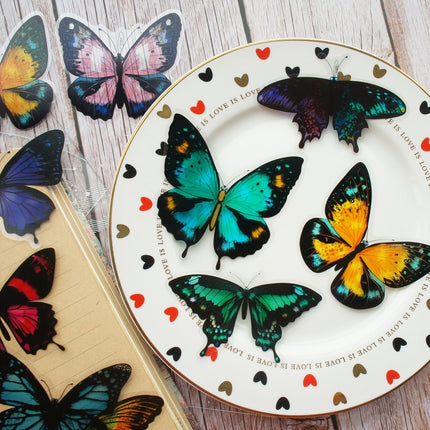 Tropical Rainforest Butterfly PVC Stickers 28 pcs Set - wnkrs