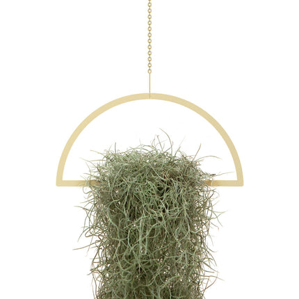 Gold Hanging Semicircle Plant Holder - wnkrs