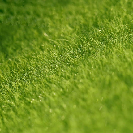 Artificial Moss Lawn Grass - Wnkrs