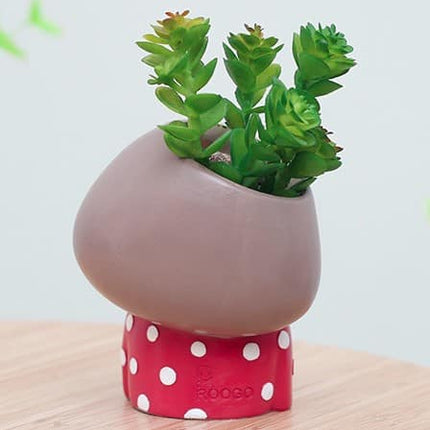 Lovely Girl Creative Design Succulent Pots Set - wnkrs