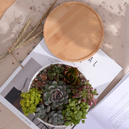 Minimalist White Ceramic Plant Pot with Bamboo Tray - wnkrs