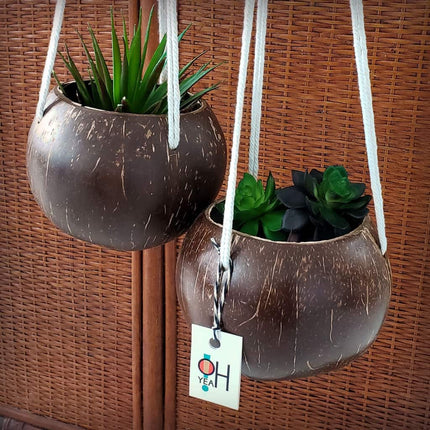Coconut Macrame Hanging Planter - wnkrs