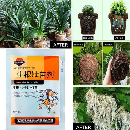 Fertilizer Seedling for Fast Rooting - wnkrs