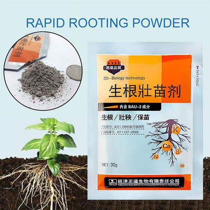 Fertilizer Seedling for Fast Rooting - wnkrs