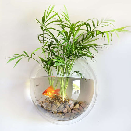 Acrylic Wall Mounted Vase and Fish Tank - wnkrs