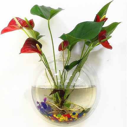 Acrylic Wall Mounted Vase and Fish Tank - wnkrs