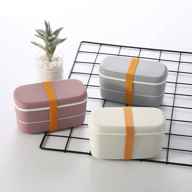 Microwave Compatible 2-Layer Lunchbox