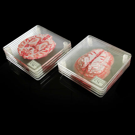 3D Brain Printed Table Coaster - wnkrs