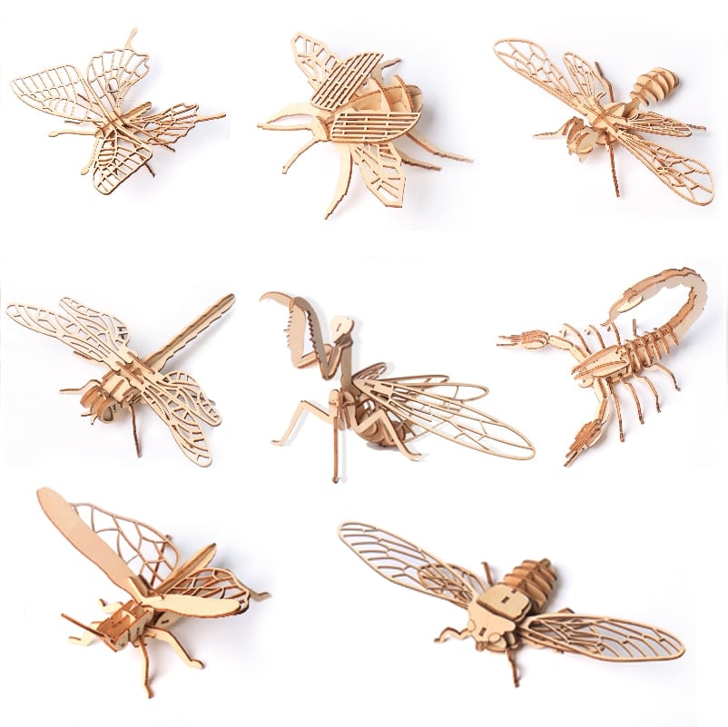 3D Insect DIY Kit