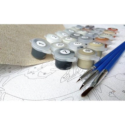Cute Kitten DIY Painting by Numbers Picture - Wnkrs