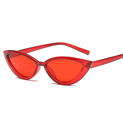 Cat Eye Shaped Clear Frame Sunglasses for Women - wnkrs