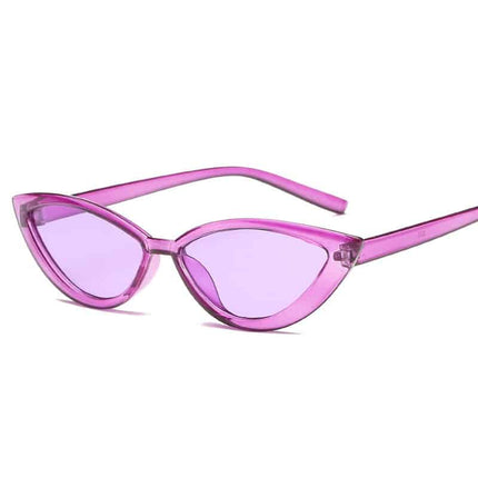 Cat Eye Shaped Clear Frame Sunglasses for Women - wnkrs
