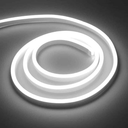 AC 220 V Neon Style LED Strip - wnkrs