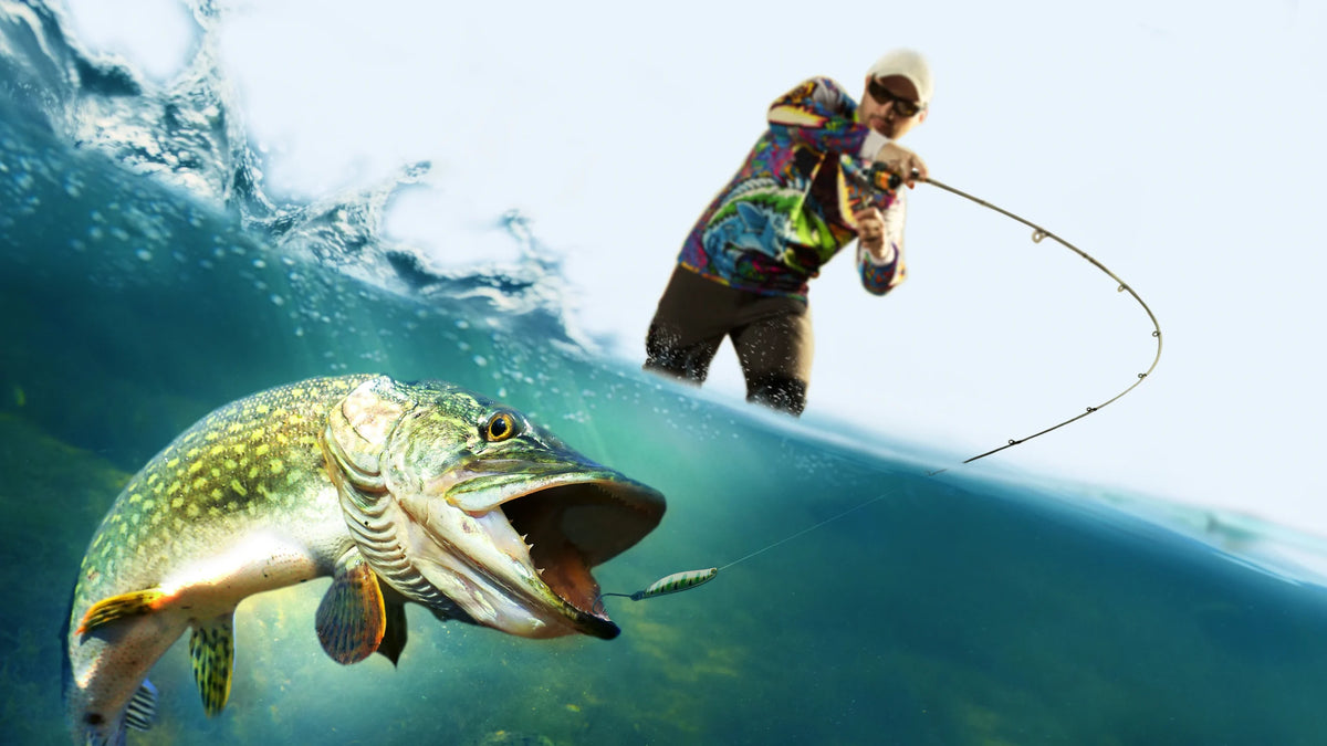10 Steps to Start Fishing