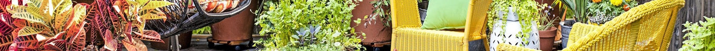 Small Garden Ideas – 10 Tips to Grow More Food in Less Space