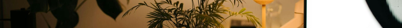 How Ambient Lighting Affects Mood and Productivity in Small Spaces