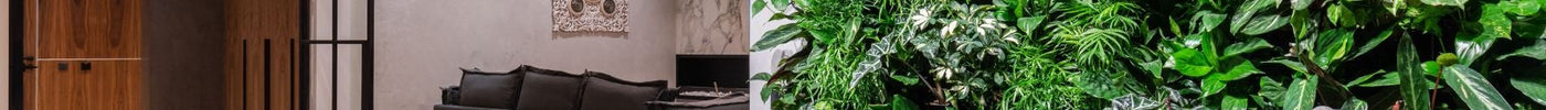 Biophilic Design Explained: Why Nature-Inspired Homes Are Trending