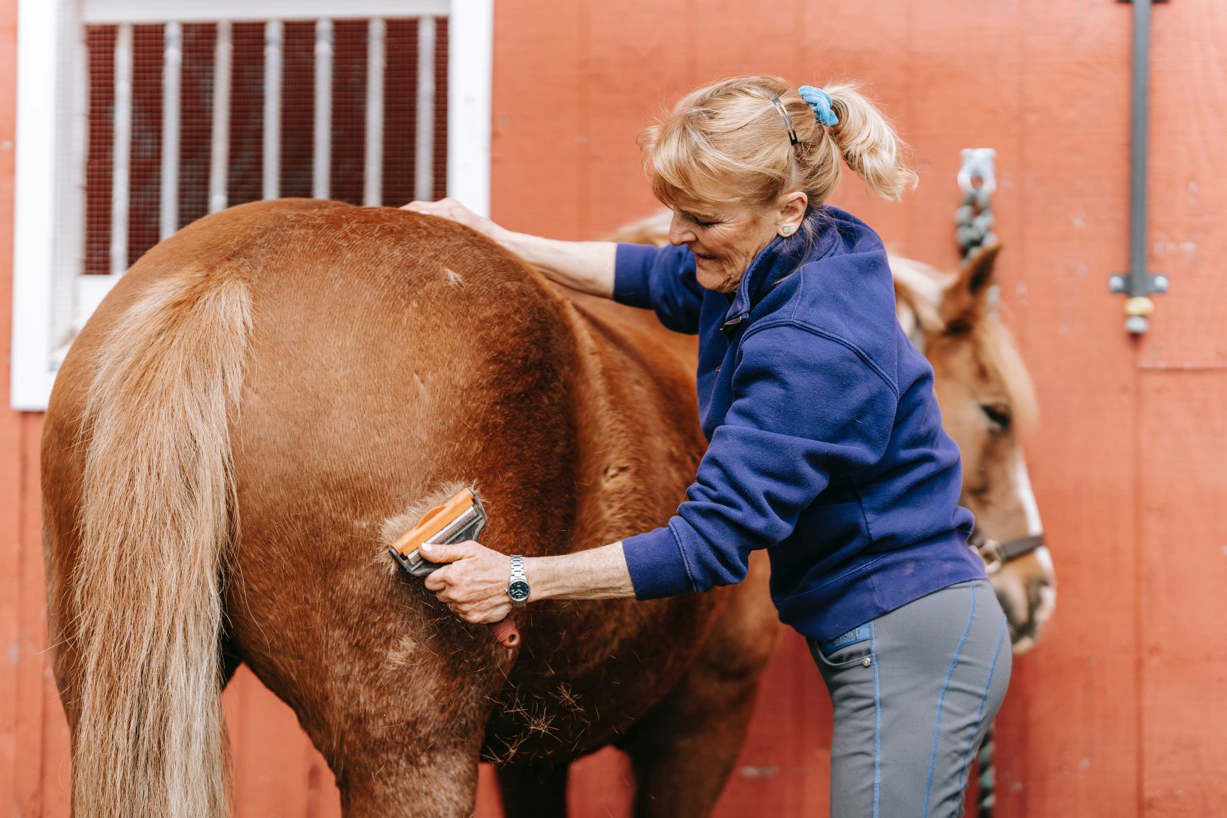 Guide to Horse Cleaning Combs: Grooming Tips and Top Picks